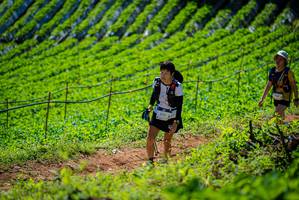 BIB: 
                            <button type="button" onclick="openModal(19163125)" class="btn btn-primary btn-sm float-right btn-popup" data-toggle="modal" data-target=".modal-high-quality">
                        <i class="fas fa-shopping-cart"></i> Add to Cart
                    </button>
                                            <button type="button" onclick="isThisMe(19163125, true)" class="btn btn-success btn-sm float-right btn-popup btn-isme hidden" data-toggle="tooltip" data-placement="bottom" title="นี่คือรูปของคุณใช่ไหม คลิกที่นี่เพื่อเอาเข้าอัลบั้ม">
                        <i class="fas fa-plus"></i> Add to album
                    </button>
                    <button type="button" onclick="isThisMe(19163125, false)" class="btn btn-warning btn-sm float-right btn-popup btn-isnotme hidden">
                        <i class="fas fa-ban"></i> Remove from album
                    </button>